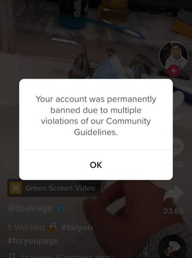 TikTok账号实拍图
